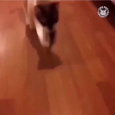 DoomerGvng - Video #1859