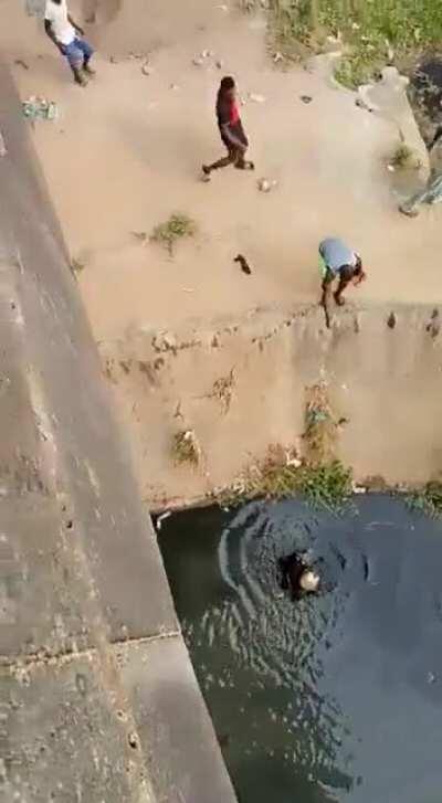 When the driver and cops are all idiots