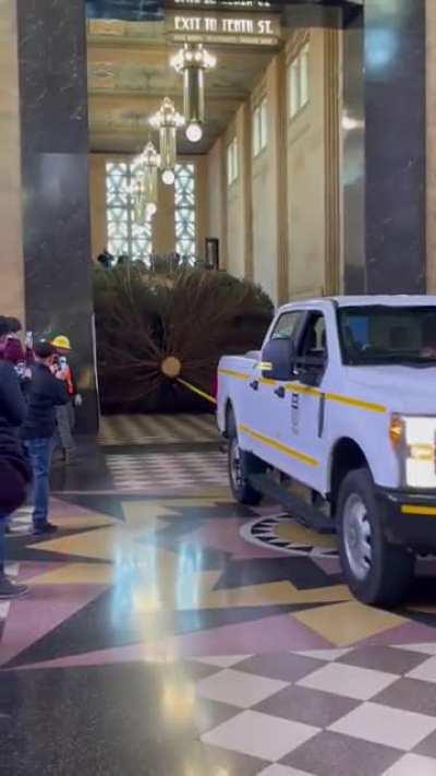 Big Christmas tree squeezing through a doorway