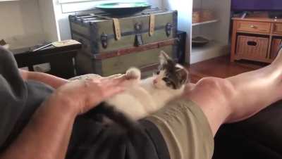 Leggsgageegahg🦵🦵