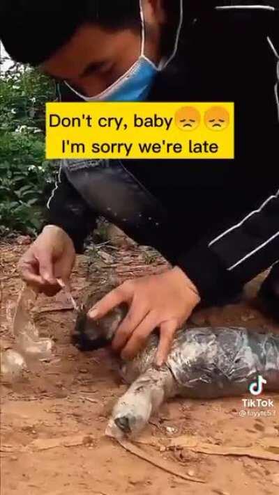 These mfs really mummified their dog for a TikTok