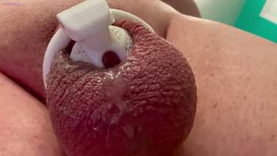 I am just a locked puppy 🤤