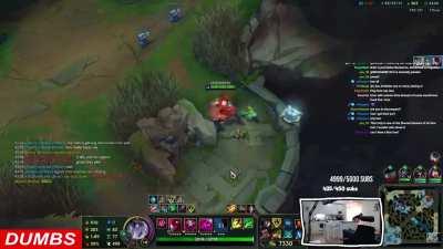 How to play Briar right ?