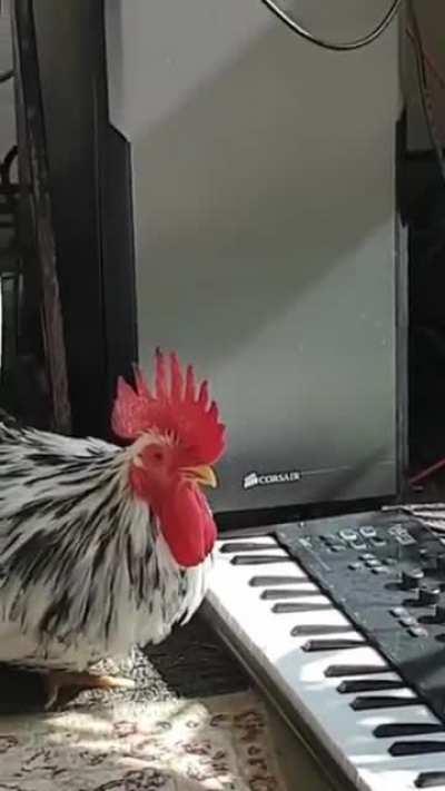 More talented than I am