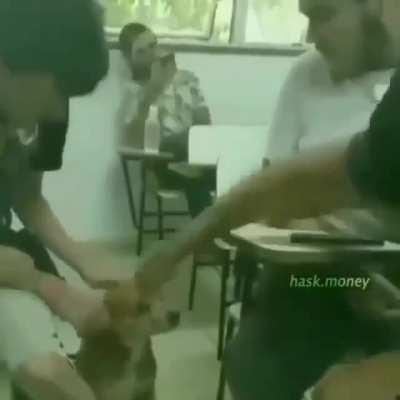 Título interessante