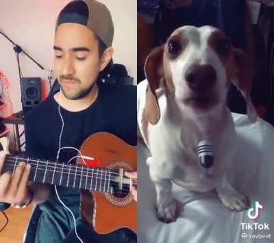 I can’t stop watching