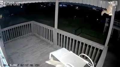 saw on twitter. A fearless cat came face-to-face with a coyote on a Surfside Beach, Texas, porch, and lived to tell the tale.