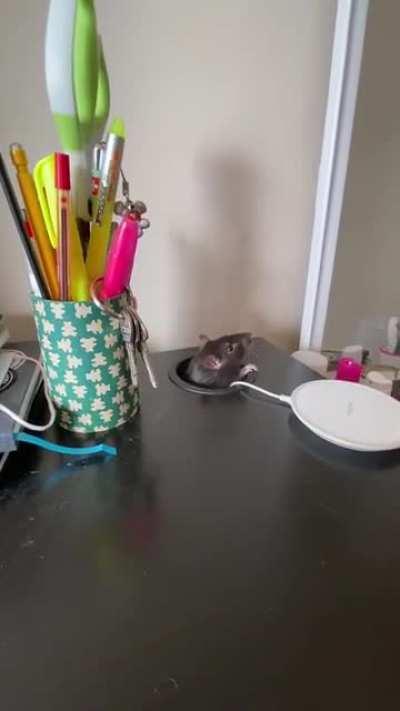 Oh THAT’s what that hole is for.