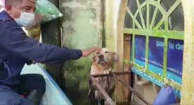 Knows he’s being helped and they’re not going to hurt him!