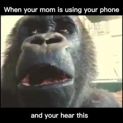 Posting my memes day #3 (old to new)