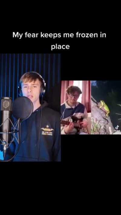 🪩🐸 Disco Frog 🐸🪩