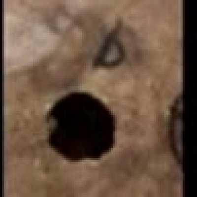 very trustworthy video