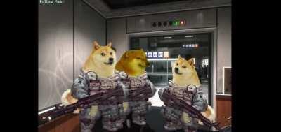 Doge and Cheems massacre Aunt Cass
