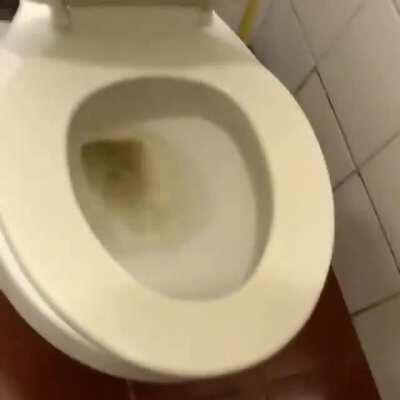 Ah rats, another rat!