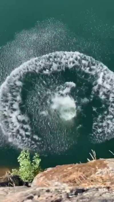 With the coolest mom