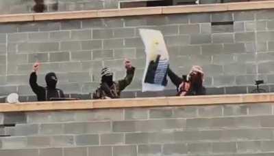 Guys the taliban guys discovered my waifu body pillows and they're murdering them I'm literally crying