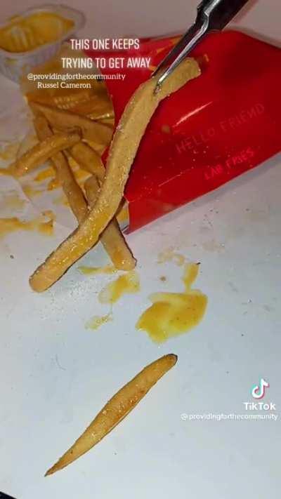 So cuteee 😄 (@providingforthecommunity on tiktok)