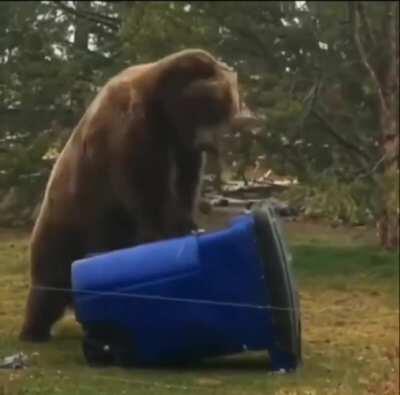 Getting ACLS/BLS certified be like