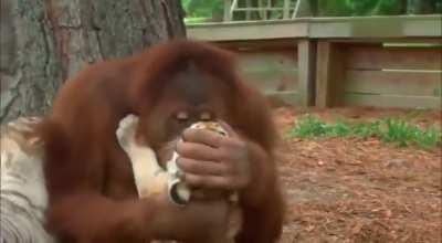 In An Alternate Universe