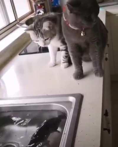 Неожиданно