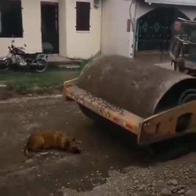 This is a hardcore country