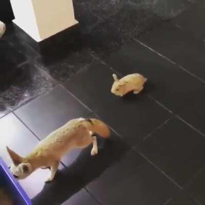 Don’t sneak up on me like that!