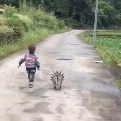 Uh, kid? Your cat looks a little... tense