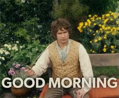 When Reddit forces me to post a GIF to avoid being marked as an inactive moderator