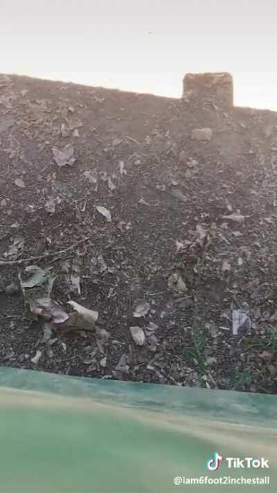 Damn what a powerful shot (sorry if this has been posted here before)