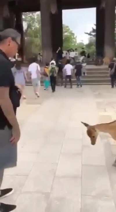 um viado reconhece o outro né