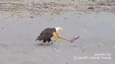 The land of the free!