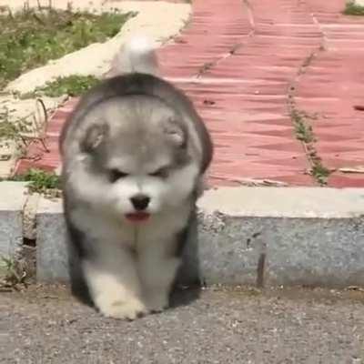 reverse broke, I need assistance.