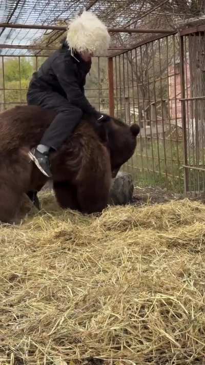 The bear is like fuck your uchimaata and that stupid hat of yours, I'ma play half guard