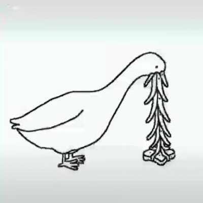 Random video on my phone