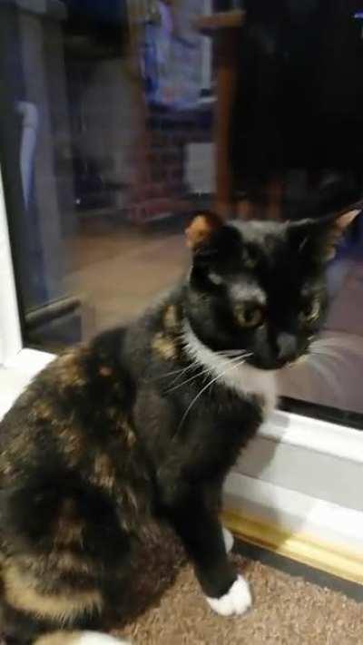 Amber turns 1 and now she feels the need to verbally express how we need to extend her bedtime!