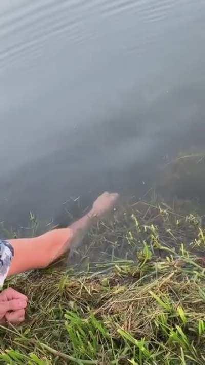 Teach a Man To Fish, and You Feed Him for a Lifetime