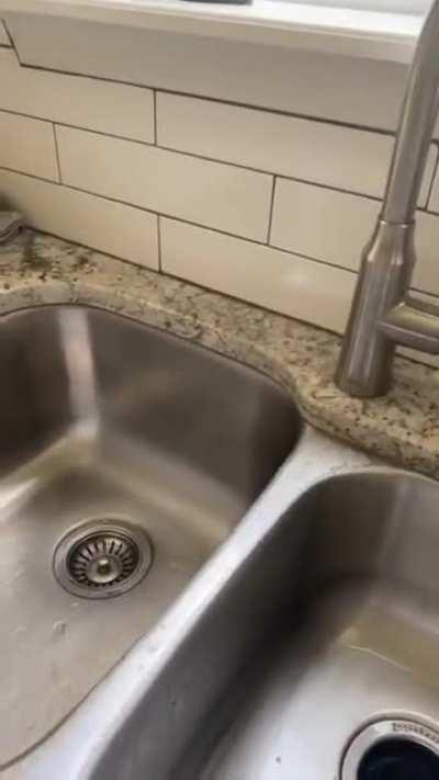 Ryan Reynolds no tempo livre