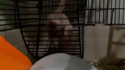 I'm just gonna leave this here...