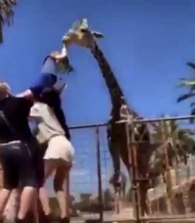 Quase foi de drake e josh