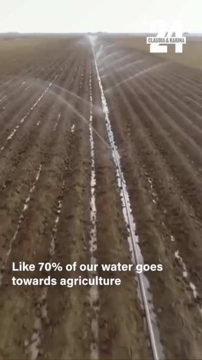 There’s no plan under the capitalist system to protect our water. Or our natural resources. Or our agriculture. Under capitalism, the only plan in place is to maximize profits for the few.