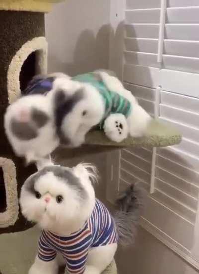 Who the fuck are you?