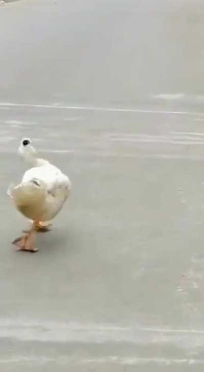 Me on my way to go home .