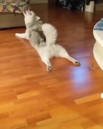 Let me show you my best sploot