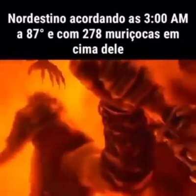 nordestino mais fraco