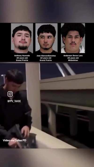 Idiots shooting off bridge