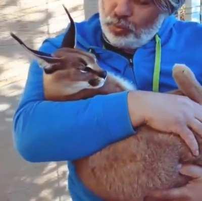 Goodnight guys, am having exam tomorrow.(21/11-30/11) Wish me luck!