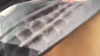 Going Commando on The Street