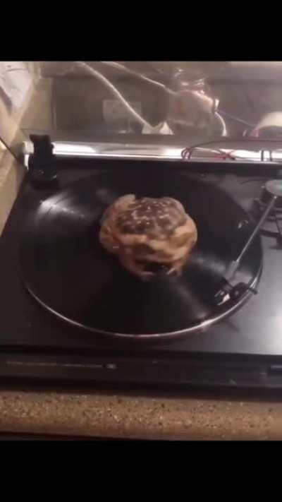 Phrög has transcended humanity