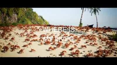 when u visit albania