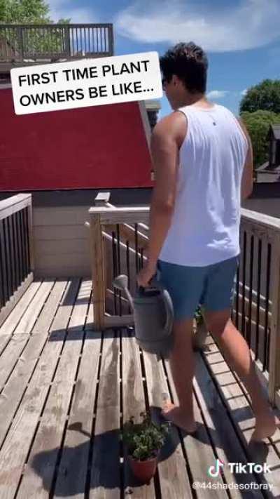 The poor example plant though 🥺 it’s drowning for entertainment